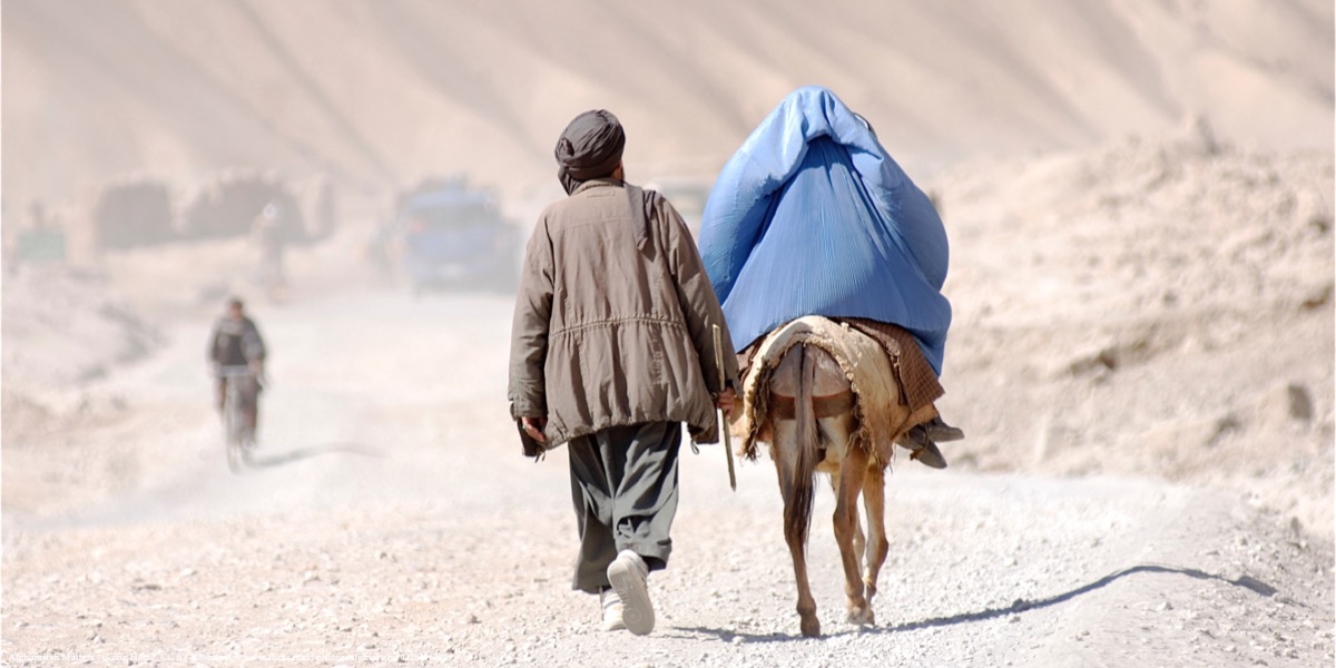 20111128 Policy Brief Image Afgan man with a donkey walking down the road