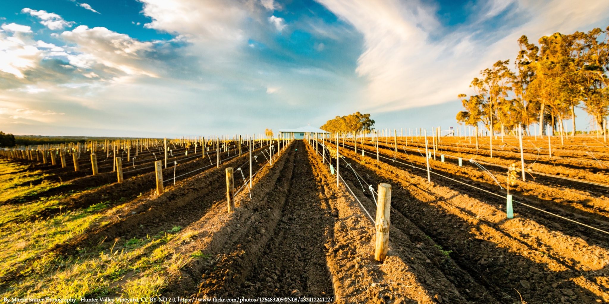 Pension cotton farm japan