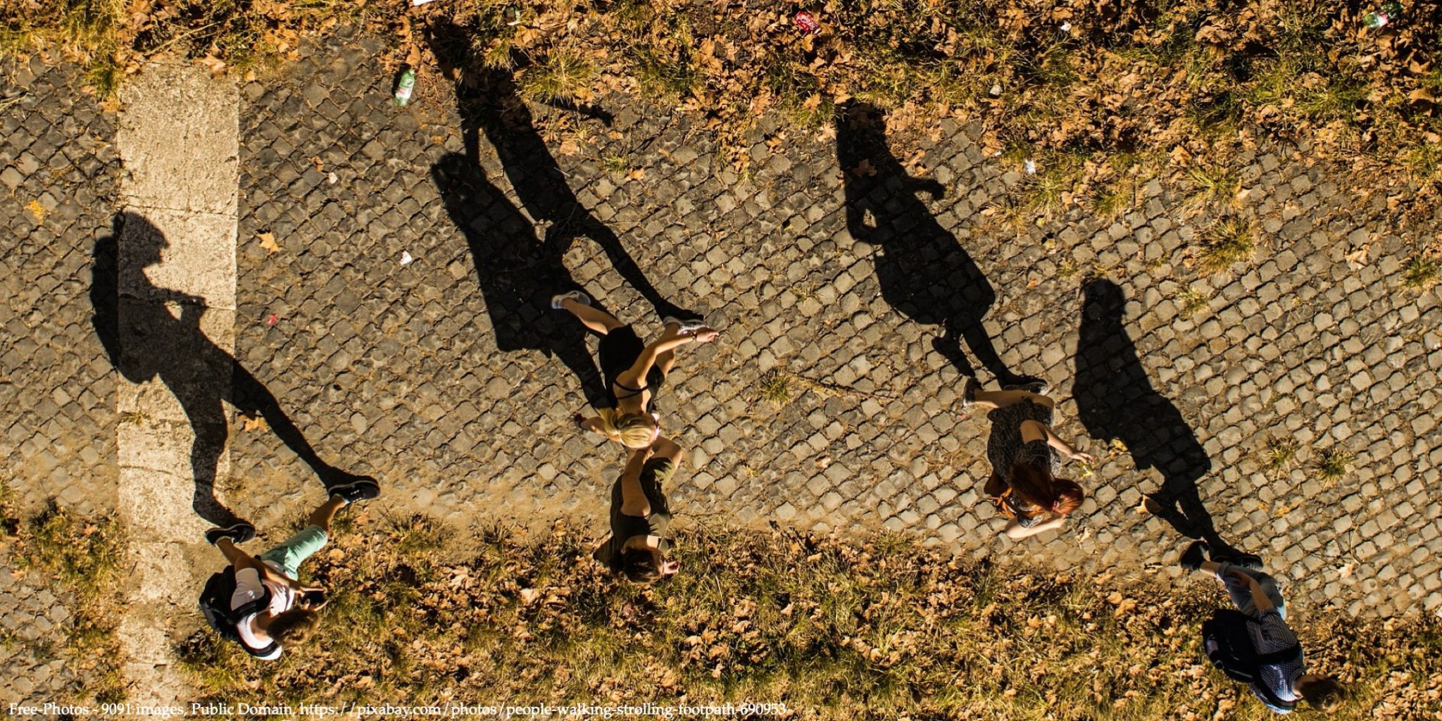 Shadows of women walking down the road in a sunset representing women at the top of income distribution