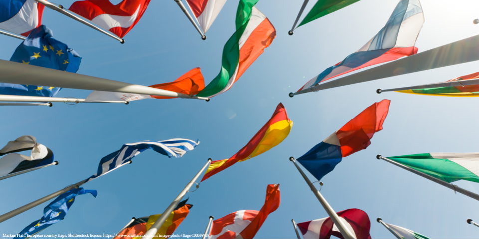 A group of flags representing European countries, displayed on flagpoles with a clear blue sky in the background representing European democracy